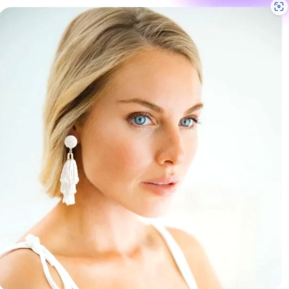 NWT Beaded Tassel Earrings